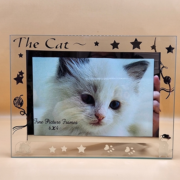 Other - "The Cat" Photo Frame 4x6 Clear Glass Standing Picture Family Cat Pet